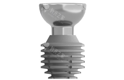 美国百康种植牙植体形态 美国百康种植牙植体形态