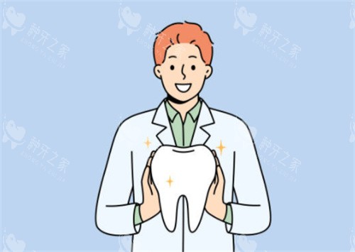 医生和牙齿示意图 医生和牙齿示意图
