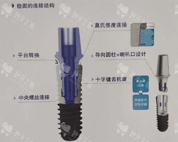 威高wego种植牙细节植体照片 威高wego种植牙细节植体照片