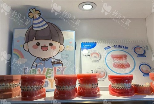 福州科尔口腔展示架 福州科尔口腔展示架