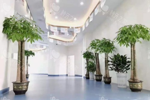 岳阳平江致远口腔内部环境