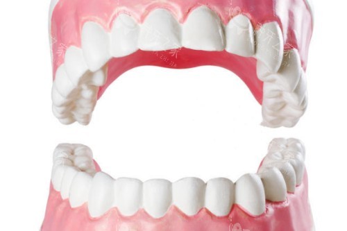 牙齿卡通模型图 牙齿卡通模型图