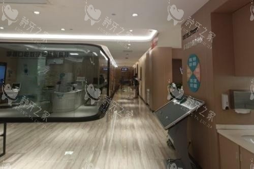 厦门麦芽口腔内部环境 厦门麦芽口腔内部环境