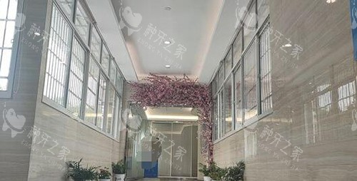 南昌虹桥口腔环境 南昌虹桥口腔环境