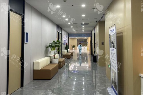 漳州中诺口腔走廊图 漳州中诺口腔走廊图