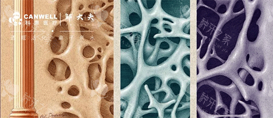 绍兴柯桥牙科医院排名：10家正规口腔机构推荐
