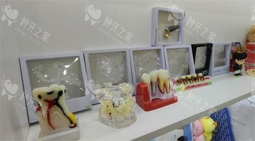 广州牙德堡口腔材料展示