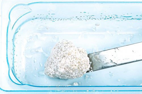 植骨骨粉凝固后状态