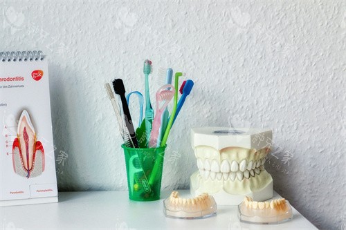 牙齿模型宣传展示