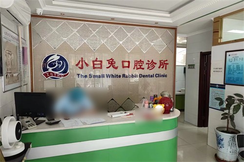 小白兔口腔做个牙多少钱？揭晓2025小白兔种牙价格
