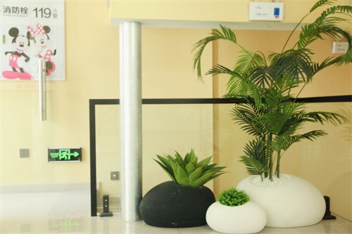 葫芦岛种植牙有哪些牙科种牙便宜又好？价格是多少？