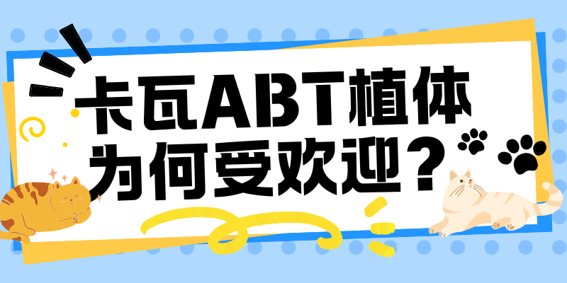卡瓦ABT种植体为何受欢迎