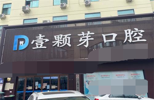壹颗芽外观