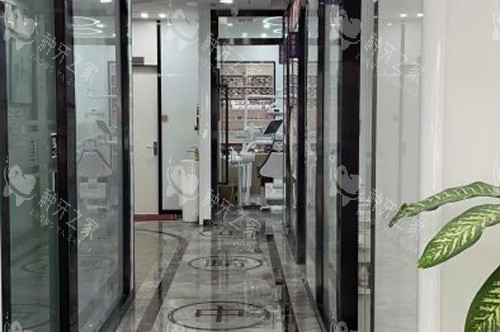 海口植之道口腔总店走廊图