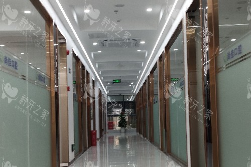 深圳尚佳口腔走廊图