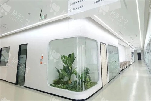 丽水亮贝美口腔种植优势及植牙价格揭秘下！