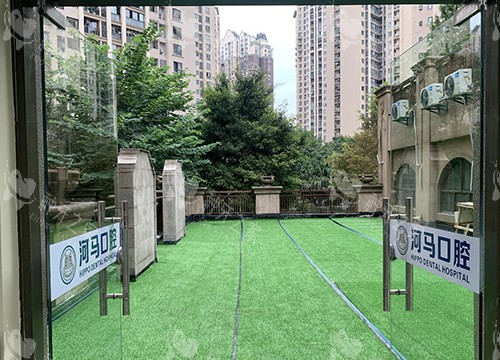 重庆河马口腔环境一角