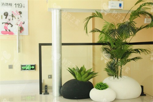 葫芦岛兴城市米奇口腔诊所环境图
