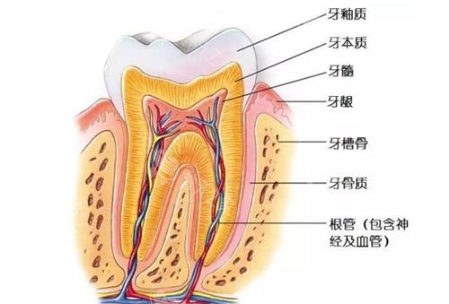 不可错过！2025四川内江启辰口腔种植牙价格分析