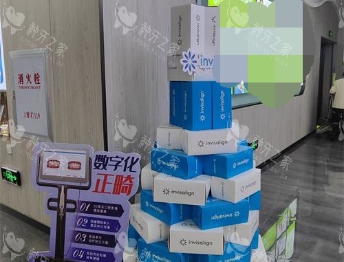 曲靖舒尔口腔内部环境示意图