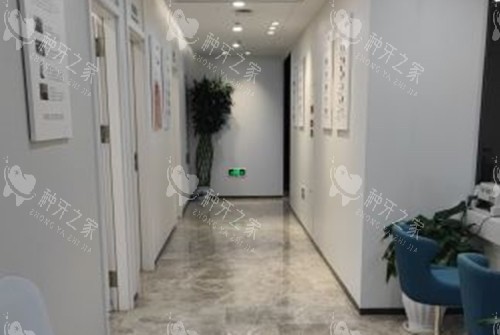 济南弗莱堡口腔内部过道环境