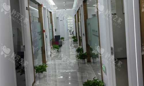 徐州邳州博医口腔走廊图