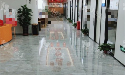 承德名士口腔走廊图
