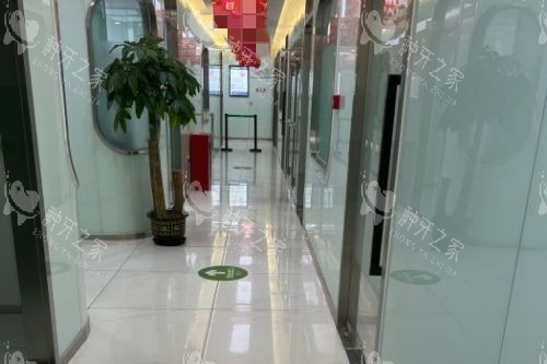 北京京植口腔走廊环境