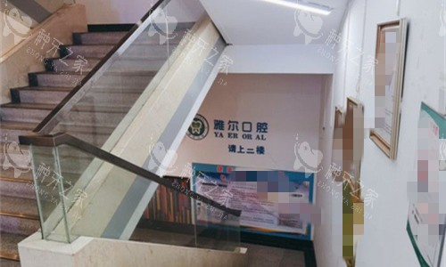 天津雅尔口腔楼梯图