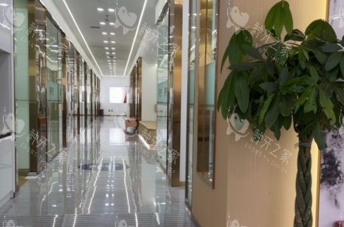 内江启辰口腔走廊示意图