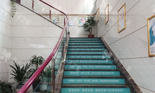 郑州德韩口腔楼梯展示图