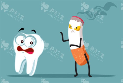 种牙挨着的省钱还是单个的省钱呢