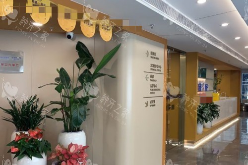 深圳新浩口腔 (1)