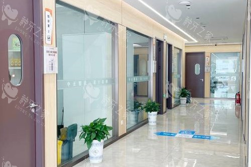 荆州中诺口腔走廊图