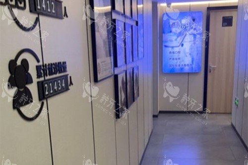 上海永博口腔内部过道环境