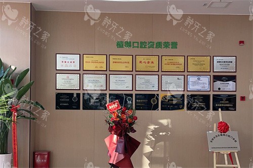 开封植得口腔大厅展示区