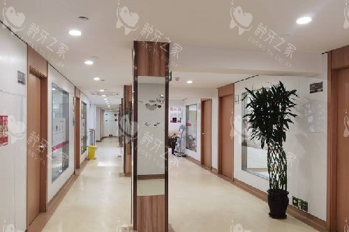 上海康沈口腔走廊环境