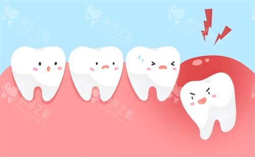 拔智齿动画