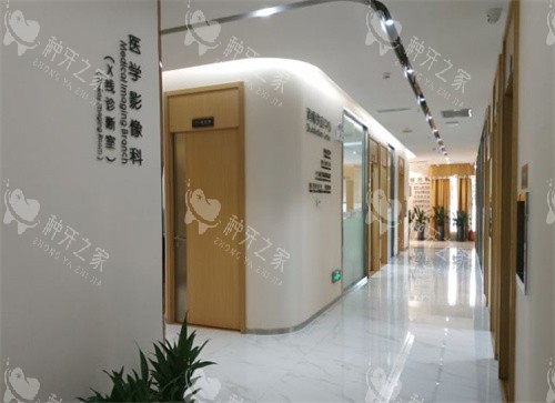 中山大象口腔走廊