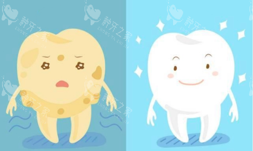 牙齿美白前后对比图
