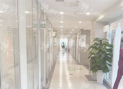 郑州植得口腔走廊 郑州植得口腔走廊
