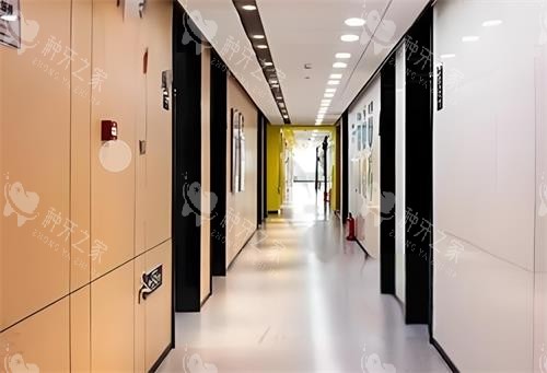 深圳同步齿科过道区