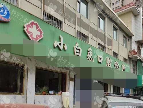石嘴山小白兔口腔外观 石嘴山小白兔口腔外观