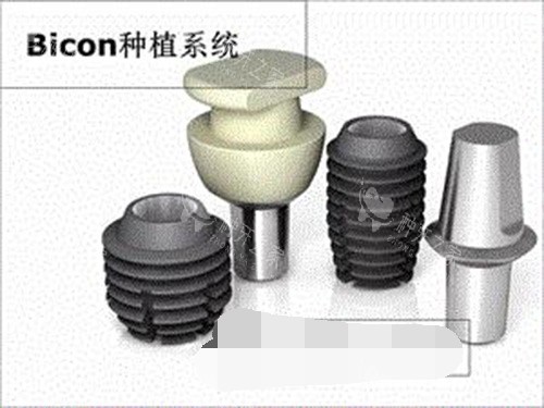 美国百康植体示意图 美国百康植体示意图