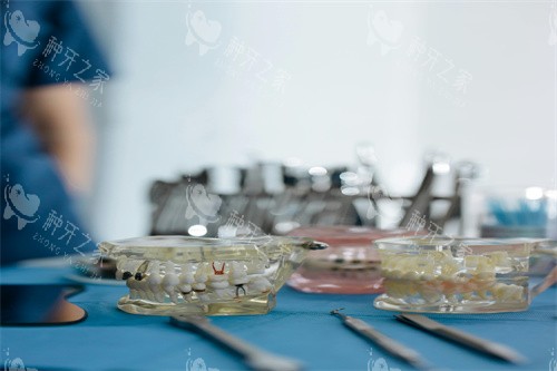 牙齿治疗的模型图 牙齿治疗的模型图