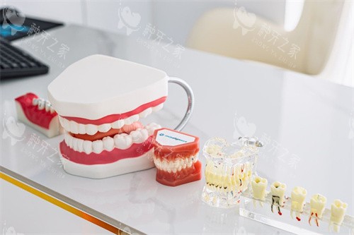 韩国仕诺康和奥齿泰哪个好?档次/价格/优劣对比