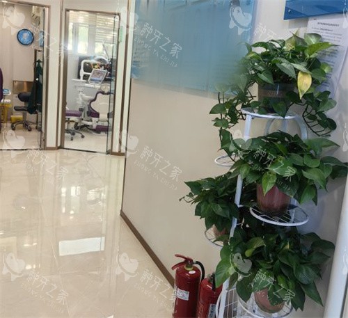 北京新北口腔(马连洼店)大厅环境 北京新北口腔(马连洼店)大厅环境