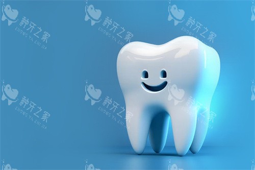 3D牙齿图 3D牙齿图