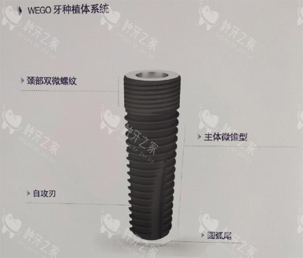 威高wego种植牙颈部双位螺纹细节照片