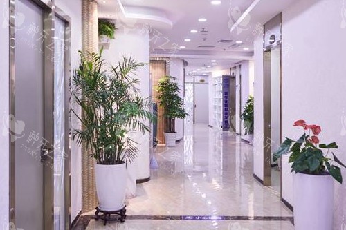 深圳鹏程口腔走廊环境图 深圳鹏程口腔走廊环境图